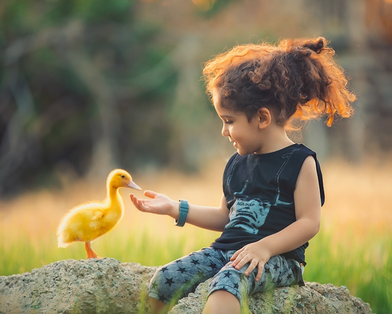 عکس حرفه ای کودک در فضای باز کنار یک جوجه اردک در آتلیه کودک کرج