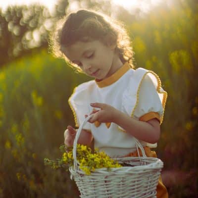عکس کلوزآپ از دختربچه در حال چیدن گلهای زرد و گذاشتن در سبد حصیری سفید، نمونه کار عکاسی فضای باز آتلیه مهتا کرج.