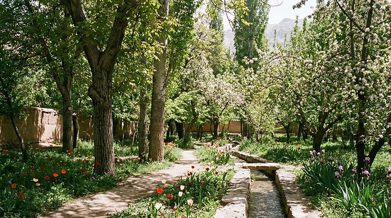 بهترین باغهای عکاسی کودک در کرج - لوکیشن فضای باز سرسبز و آرام