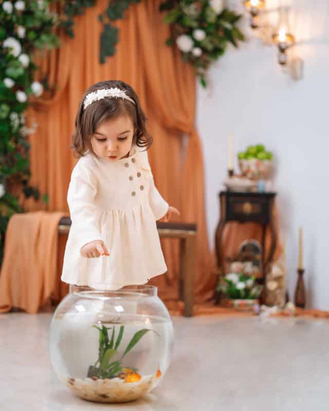 کودک دختر با لباس کرم در حال نگاه کردن به تنگ ماهی در دکور نوروزی آتلیه با تم رنگی آجری و کرم